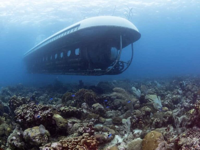 From Bridgetown: Scenic Boat and Submarine Tour - Authentic Marine Encounters and Expert Guides