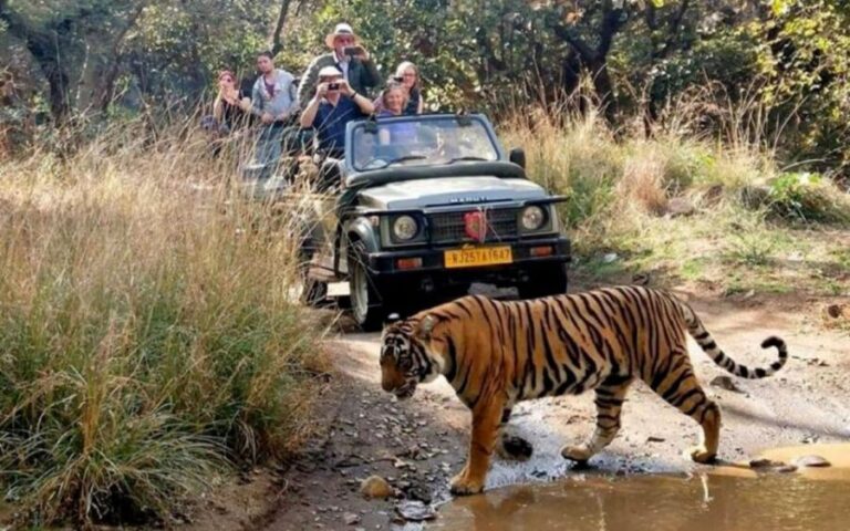 From Delhi: 6-Day Golden Triangle Tour with Ranthambore - Practical Tips for Potential Participants