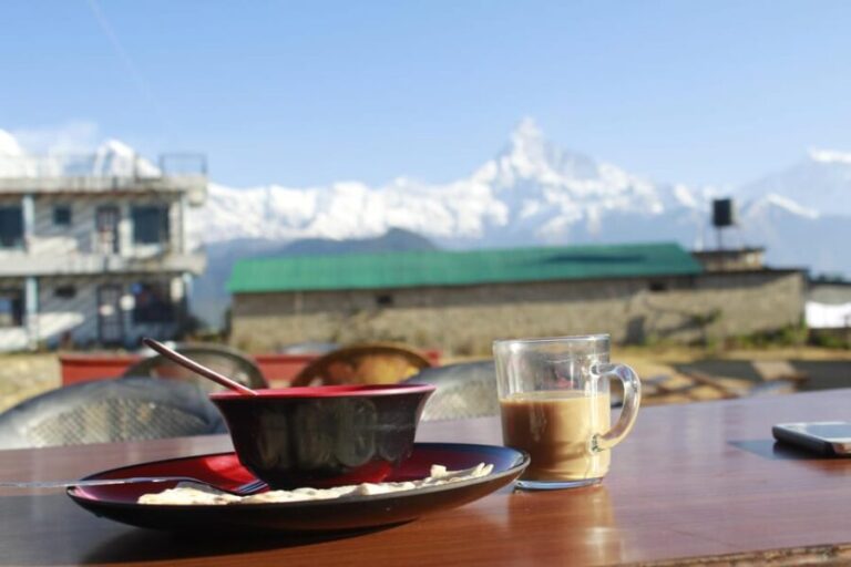 From Pokhara: Day Hiking Australian Camp & Dhampus - Why This Tour Stands Out