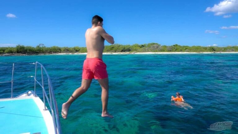 From Punta Cana: Catalina Snorkeling & Altos de Chavon Tour - What to Expect in Terms of Logistics and Value