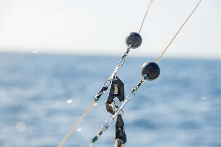 From Punta Cana: Deep Sea Fishing Tour by Boat with Drinks - What the Reviews Tell Us