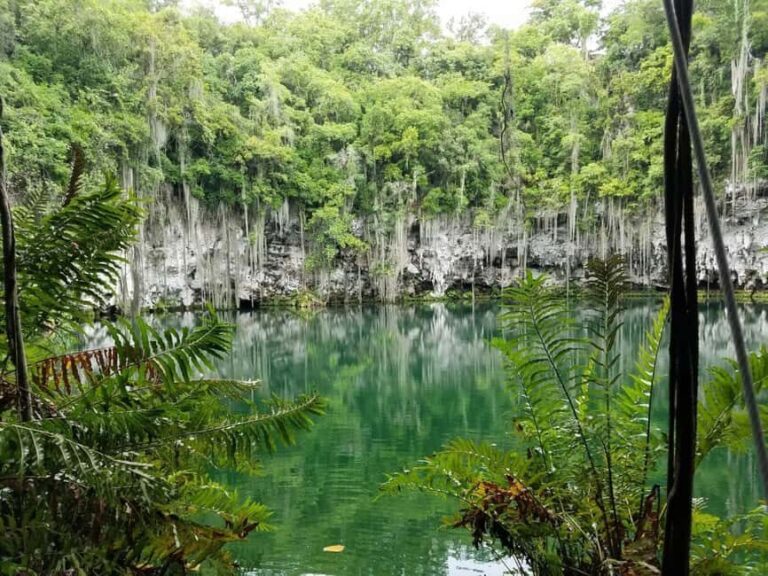 From Punta Cana: Santo Domingo Full-Day Tour with Lunch - What We Think About the Experience