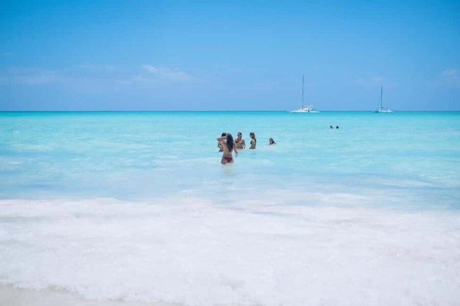 From Punta Cana: Saona Island Day Trip with Buffet Lunch - What We Loved and What to Watch Out For