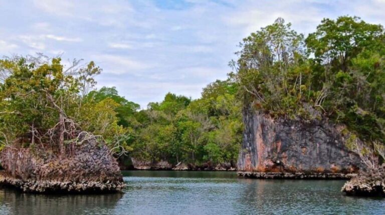 From Samana: Los Haitises Boat and Walking Tour with Lunch - Honest Reflections from Travelers