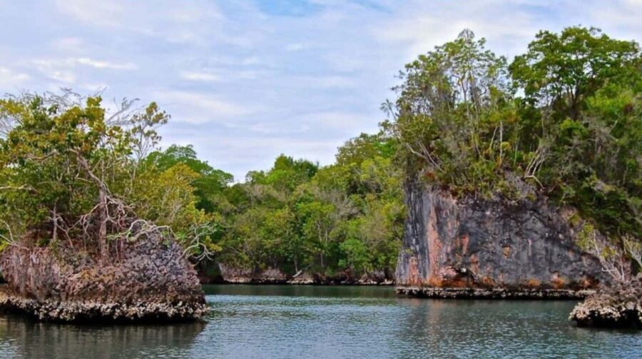 From Samana: Los Haitises Boat and Walking Tour with Lunch - Honest Reflections from Travelers