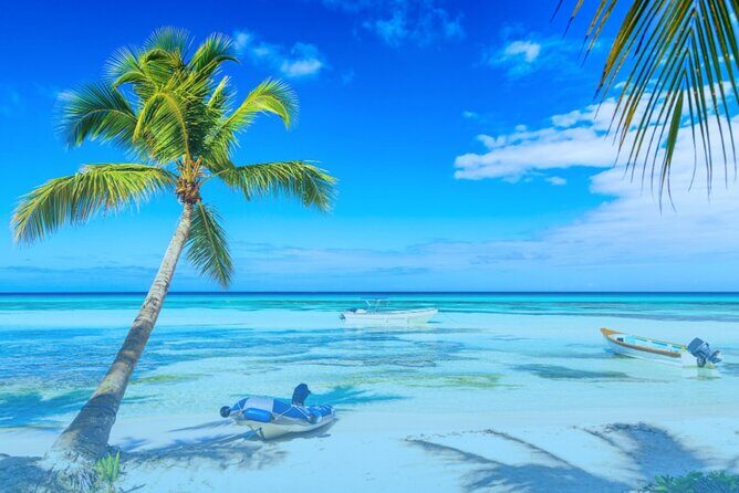 From Santo Domingo: Saona Island For Small Group Catamaran - What Makes This Tour Stand Out