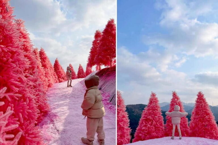 From Seoul: Pocheon, Sanjung Lake and Bidulginang Fall Trip - Exploring Bidulginang Waterfalls