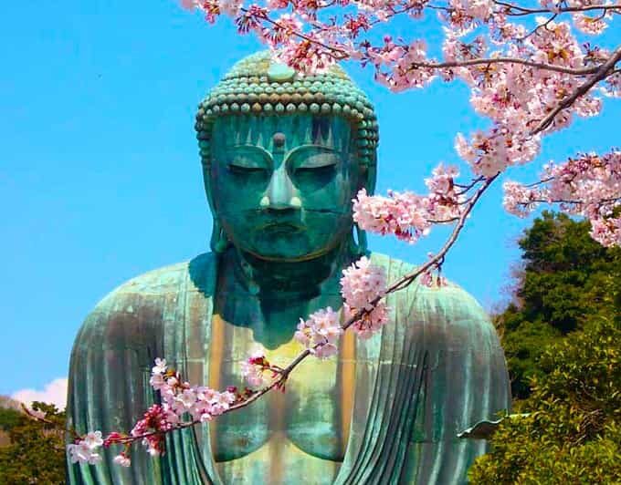 From Tokyo: Kamakura and Enoshima Full-Day Private Trip - Transportation, Timing, and Comfort