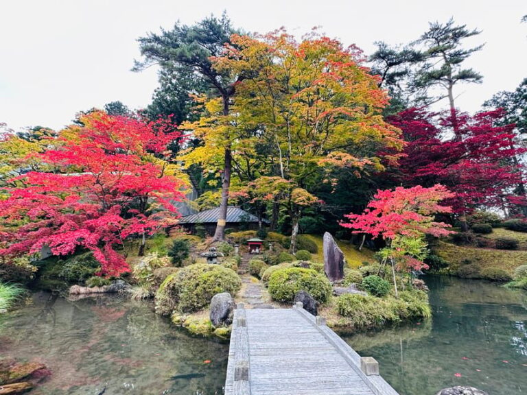 From Tokyo: Nikko Customize private Tour With English Driver - Who Will Love This Tour?