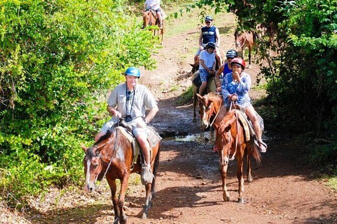 Full Day Eco Safari Adventure and Cultural Tour - What the Reviews Say