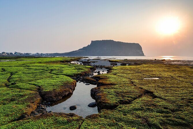 Full Day Essential Jeju Island Private tour for West Course - The Sum Up