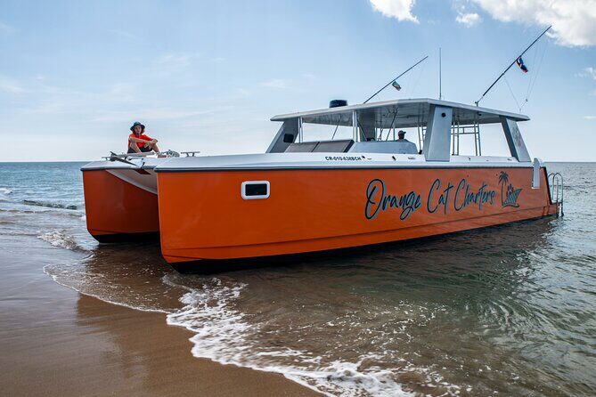 Full Day Luxury Snorkel Charter With Lunch (Minimum 10 Guests) - What Makes This Tour Special?