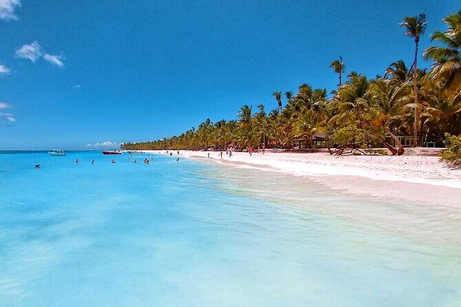 Full Day Tour to Saona Island by Catamaran and Speedboat - Logistics and Practical Tips