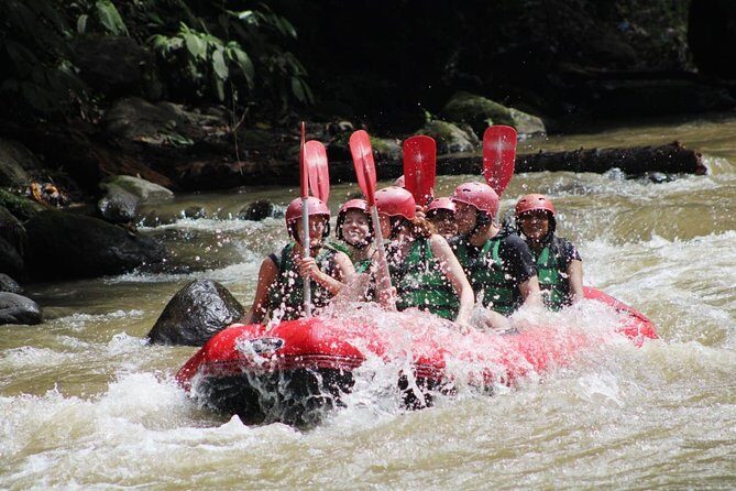 Full-Day Tour: White Water Rafting and Highlight of Ubud with All-inclusive - Who Is This Tour Best For?