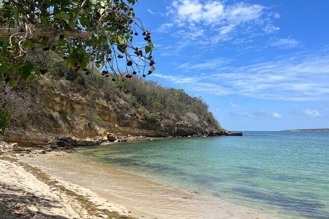 Full Day Vamos Pa la Isla Southwest Experience - Who Will Love This Tour?