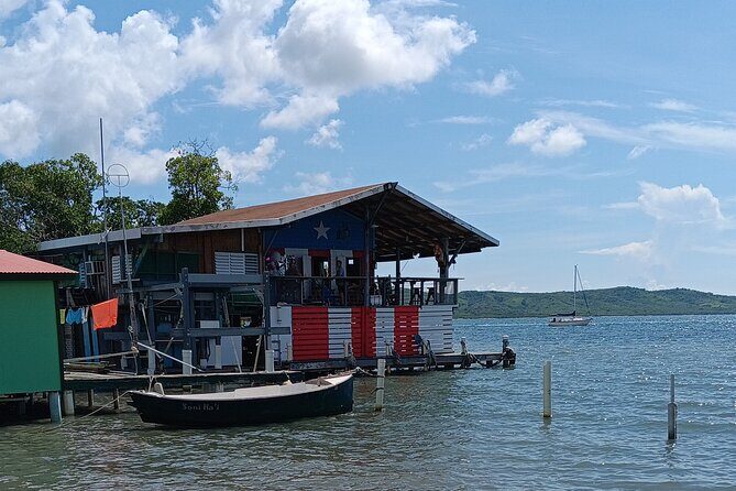 Full Day West Coast Adventure in Puerto Rico - Transportation and Group Size