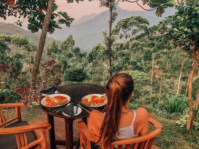 Get a private driver for day tours around Sri Lanka - What You Can Expect During Your Day Tour