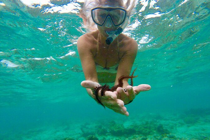 Glass Bottom Nylon Pool Tour in Buccoo Reef - Final Thoughts: Who Would Love This Tour?