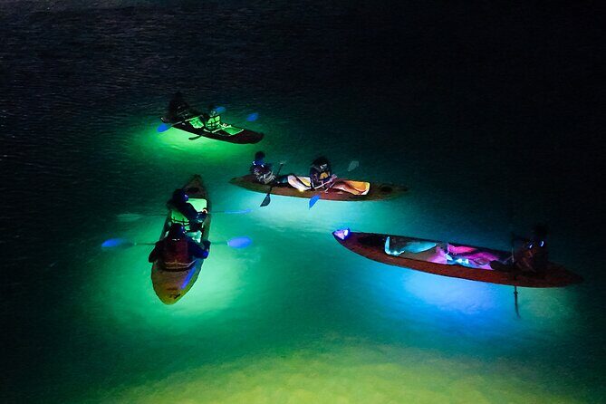 Glow Through the Night with LED Kayak Adventure in Aruba - Why Travelers Love It