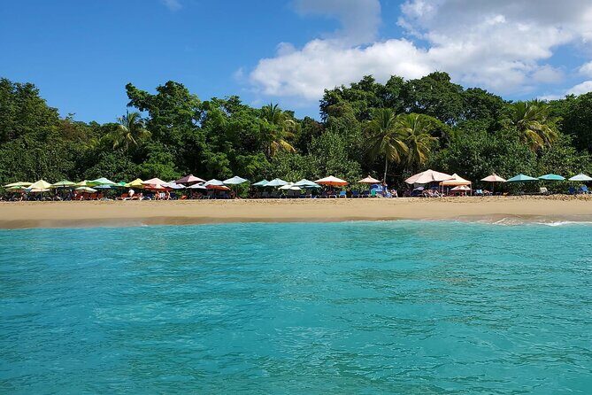 Golden beach - transportation Amber Cove and Taino bay - Authentic Experiences and Recent Feedback