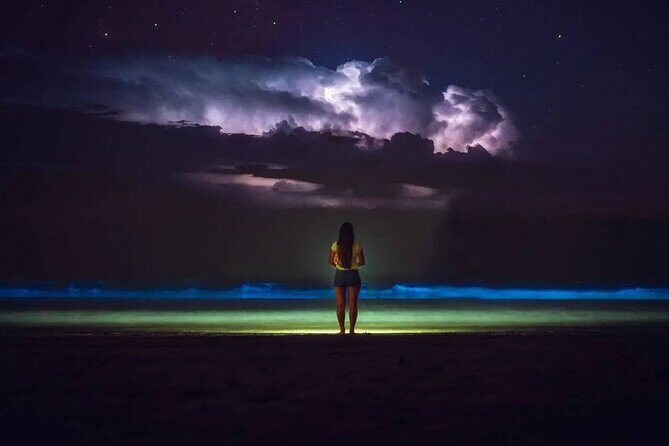Grand Cayman Bioluminescence Adventure - Assessing the Value: Is It Worth It?