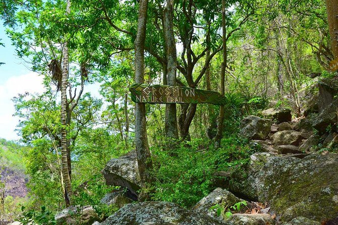 Gros Piton Hike St Lucia - Authentic Reviews from Travelers
