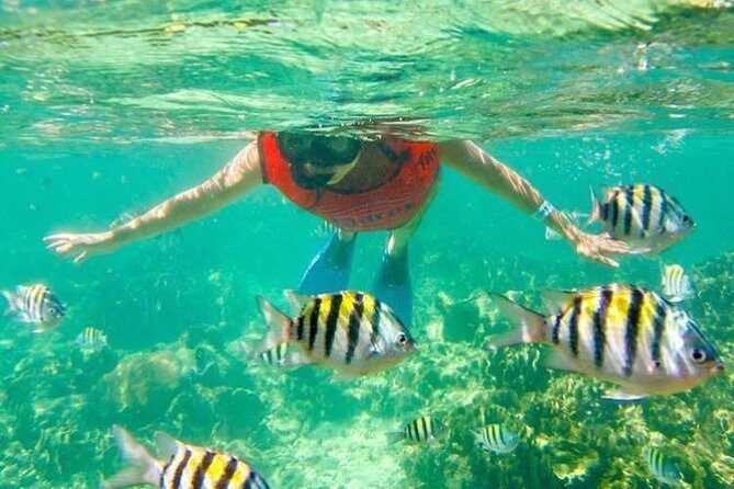 Half Day Catamaran & Snorkeling - What Makes the Itinerary Stand Out?