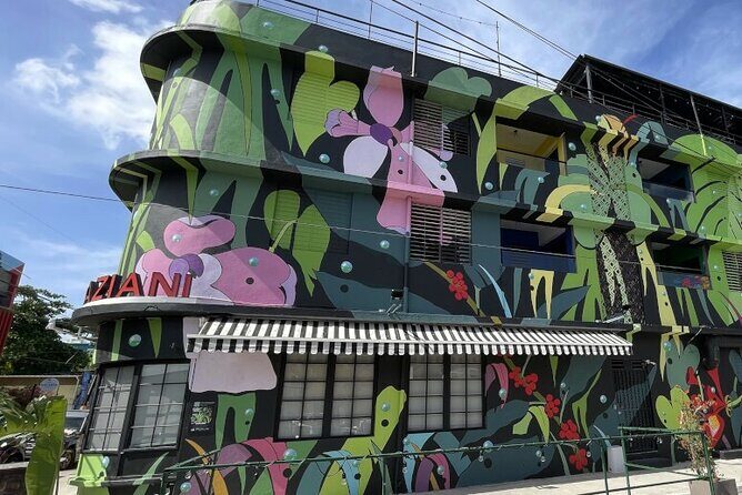 Half-Day: Old San Juan, Calle Cerra,Santurce, La Placita & Loíza - A Deep Dive into the Tour Experience