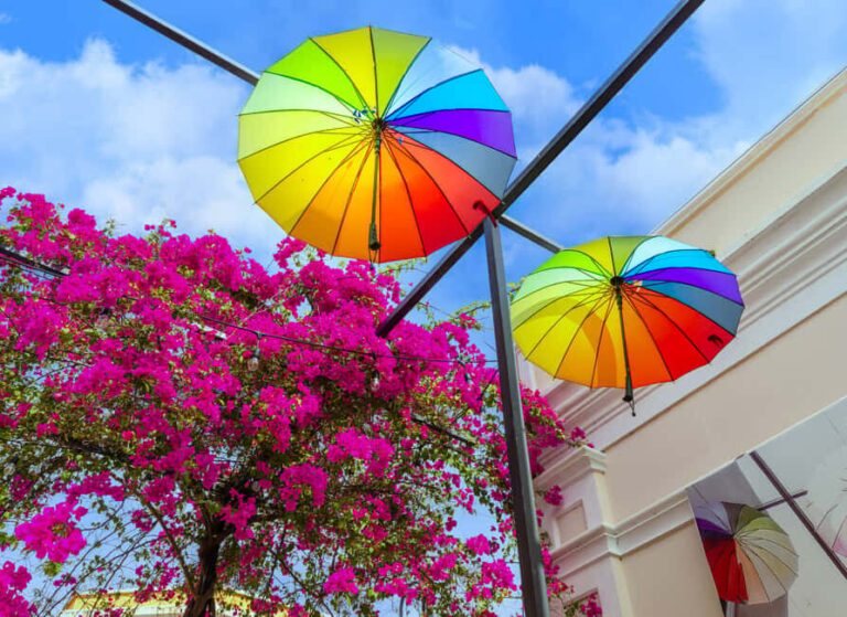Half Day Private City Tour of Puerto Plata - Who would love this tour?