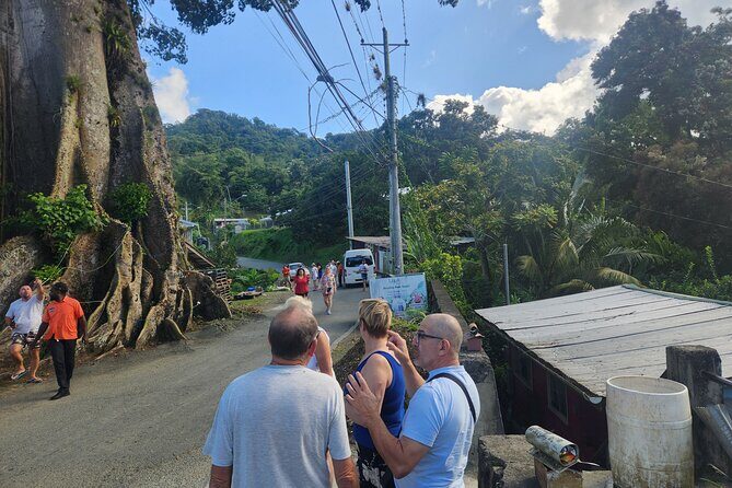 Half Day Tobago Tours with Transfers - What to Expect from the Experience