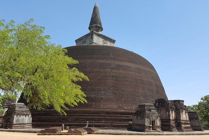 Highlights of Sri Lanka 8 Days Private Tour - Who Should Consider This Tour?