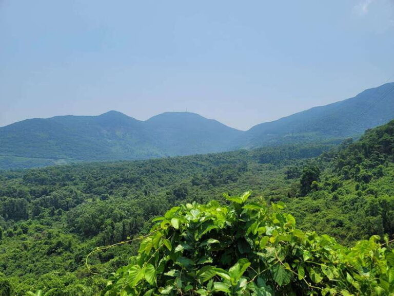 HOI AN TO HUE VIA HAI VAN PASS BY EASY RIDER - What to Expect: Riding, Relaxing, and Discovering