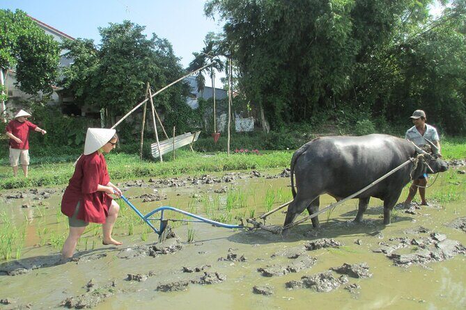 Hoi An Wet Rice Farming Tour Private Round Boat Fishing & Lunch - Authentic Experiences That Bring the Countryside to Life