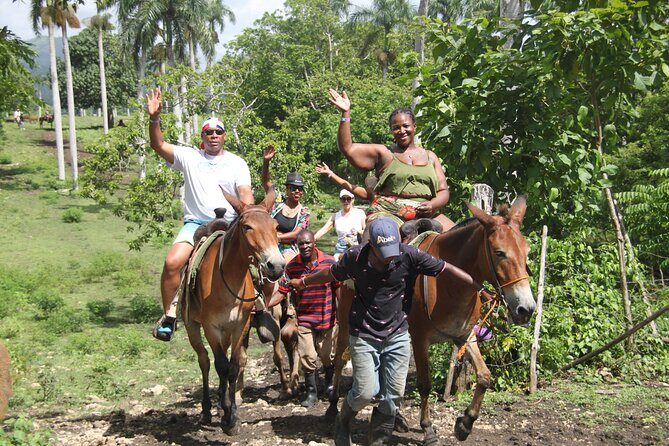 Horse back riding (Punta Cana/Bavaro) - The Itinerary: What You’ll Likely Do