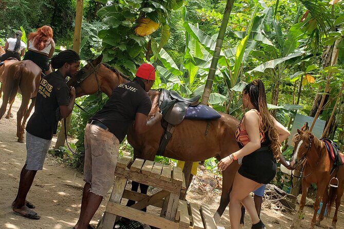 Horseback 'Ride N Swim' & Dunns River Falls from Montego Bay - The Sum Up: Is It Worth It?