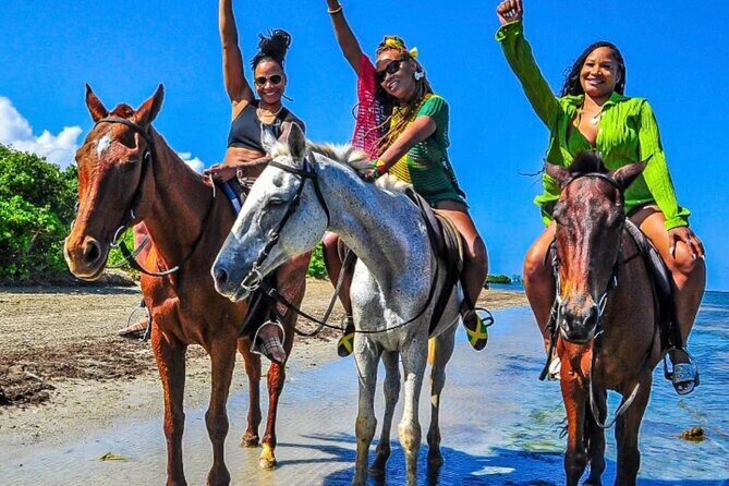 Horseback Ride & Swim Jamaica/Montego Bay - The Experience in Detail: What You’ll Love and What to Watch For