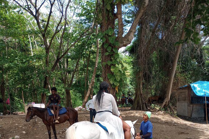 Horseback riding, Blue hole or Dunn's River Combo - Transportation and Practicalities