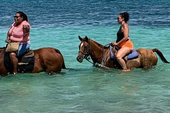 Horseback Riding from Montego Bay - Who Will Love This Tour?
