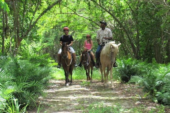 Horseback Riding on the Beach in Punta Cana (One Hour) - What Do Travelers Say? Authentic Perspectives