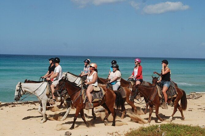 Horseback Riding on the Beaches of Punta Cana - Who Will Enjoy This Tour?