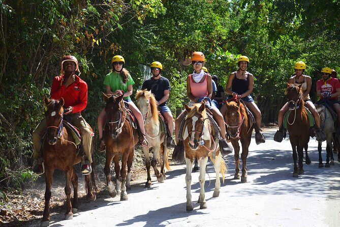 Horseback Riding Tour on the Beaches of Punta Cana - The Experience and Traveler Feedback