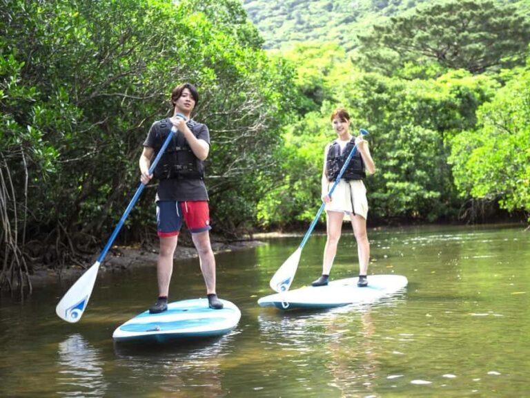 Iriomote island: Mangrove River SUP or Canoe Cruising Tour - The Canoe and SUP Experience