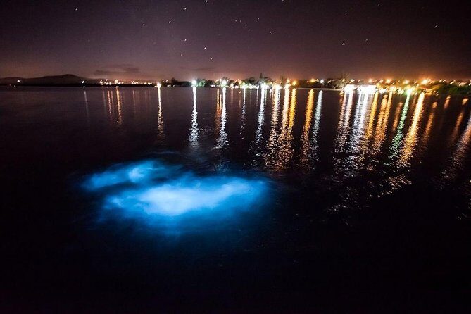 Jamaica Luminous Lagoon Private Tour with Transportation - Who Should Consider This Tour?