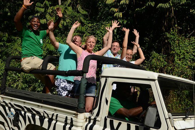 Jeep & Zip Safari St. Lucia From Castries - Practical Tips for a Smooth Trip