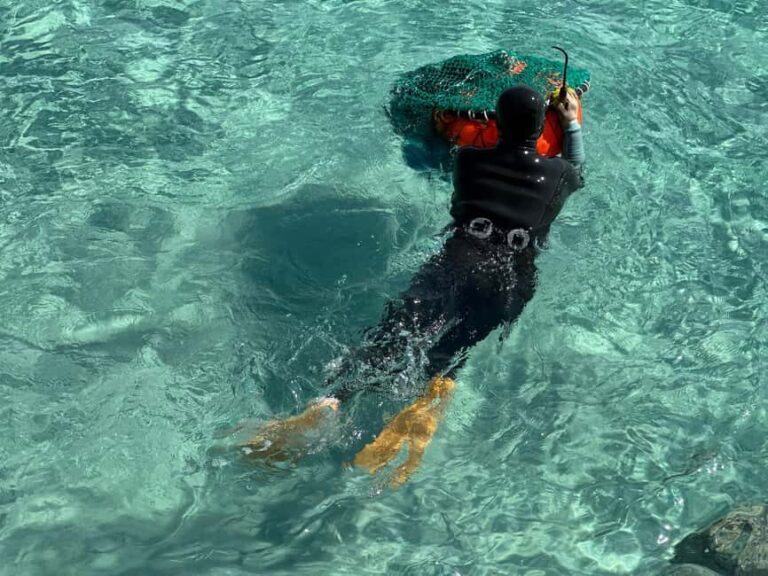 Jeju East: Small Group Healing Tour w/Woman Divers Show - Practical Insights: What to Expect and What You’ll Love