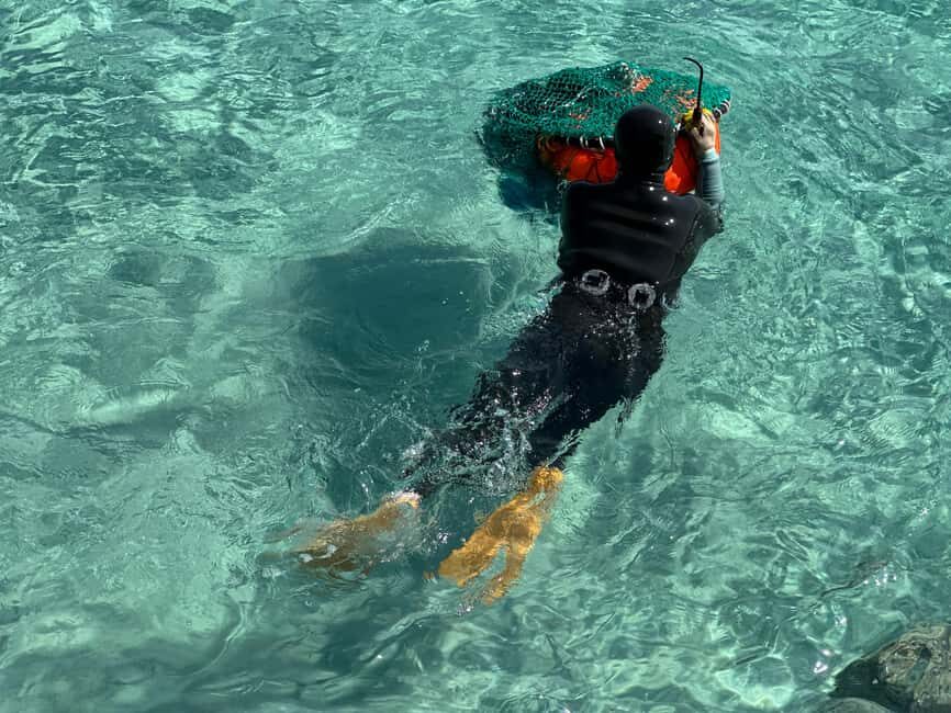 Jeju East: Small Group Healing Tour w/Woman Divers Show - Practical Insights: What to Expect and What You’ll Love