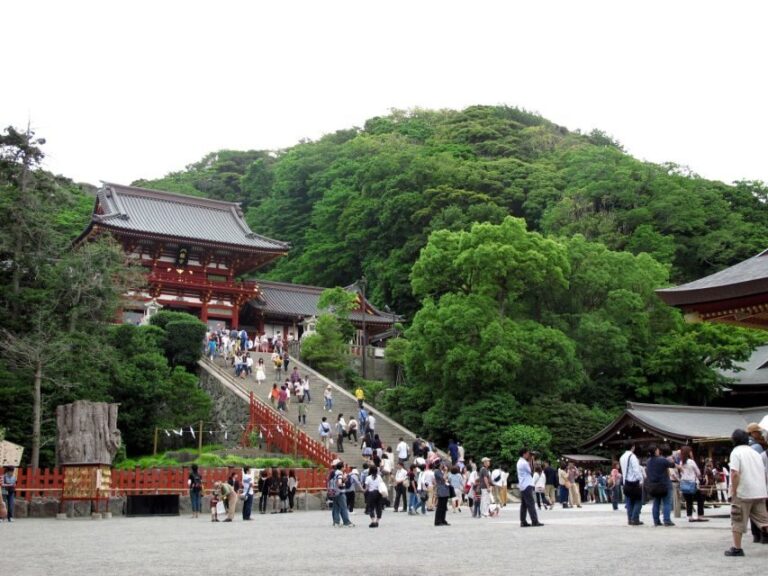 Kamakura: Great Buddha, Hase Temple, & Komachi Street Tour - Final Thoughts