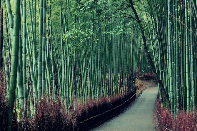 Kobe Shore Excursion to Kyoto: Private Tour with Local Guide - The Practical Side: What to Expect