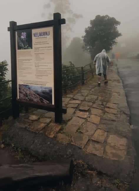 Kochi to Munnar: Eravikulam, Tea Estate and Waterfalls - Practical Considerations