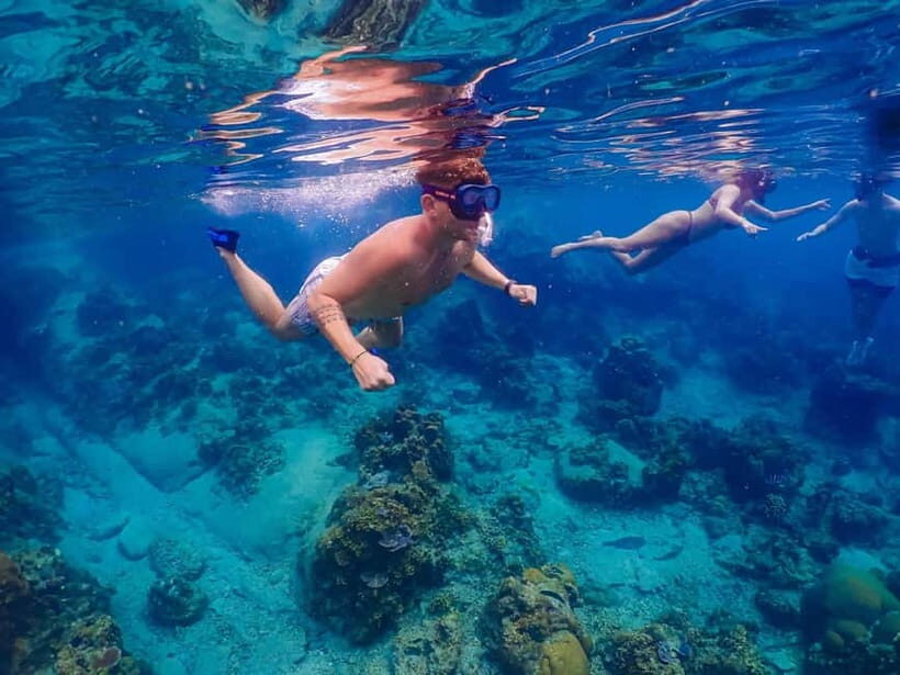 Koh Tao: Golden Hour Getaway Your Late Start to Paradise - FAQ